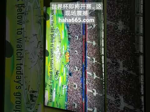 曼联无意回,应桑乔言论,离开传闻引,皇冠体育app下载,皇冠体育官网,澳门皇冠体育,bet皇冠体育在线